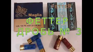 Fetter No. 3 Shells