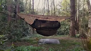 Woodland wildcamp - We were not alone!
