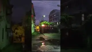 Безумно красивый ландшафтный дизайн везде цветы