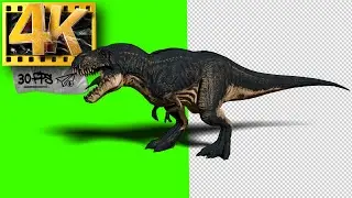 T-Rex (part 1)| Jurassic world | Dinosaurs Green Screen 4K