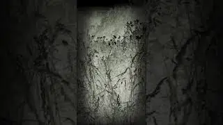 я голая люда
