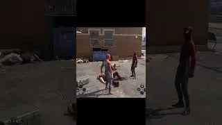Два паука встретились! 