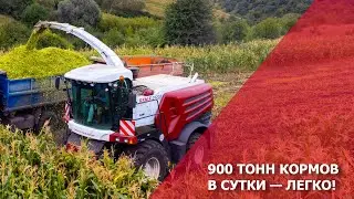 900 тонн кормов в сутки - легко!