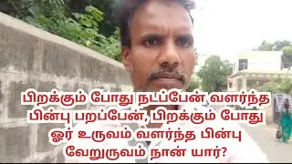 பிறக்கும் போது நடப்பேன் வளர்ந்த பின்பு பறப்பேன், பிறக்கும்போது ஓருருவம் பின்பு வேறுருவம் நான் யார்?