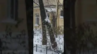 28 ноября 2023 г.