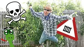 Invasive Deadly Plant | Dangerous Poisonous White Snakeroot