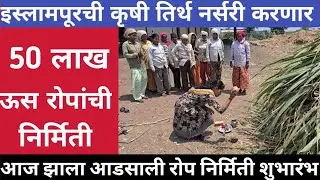 इस्लामपूरची कृषी तिर्थ नर्सरी करणार 50 लाख ऊस रोपांची निर्मिती.आज झाला शुभारंभ @KrushiTirth