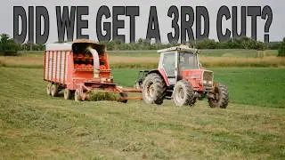 3rd Cut Silage and more