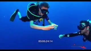 Solve the Rubiks Cube in shark infested waters!