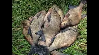 Bream fishing with a boat rod and spring bobber