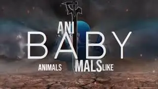 mep - animals // happy birthday note_e7