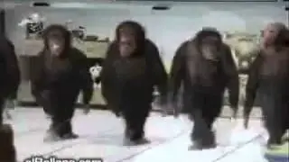 Russian National Dance - БАРЫГА.mp4