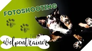 Skillfully staged 📸 Photoshoot for the puppies | The puppy trainer | sixx