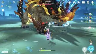 Genshin Co-op as the healer