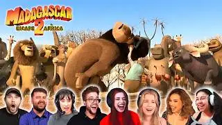 TOP Reaction to ''Makunga’s Defeat'' in MADAGASCAR: ESCAPE 2 AFRICA (2008)