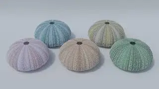 Procedural Nodes (part 75) - Sea Urchin Shell in Blender