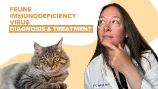 Feline Immunodeficiency Virus | Symptoms, Causes, Diagnosis & Treatment