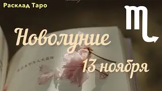 СКОРПИОН. Новолуние 13 ноября. Расклад Таро 