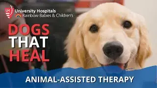 Animal-Assisted Therapy at UH Rainbow Babies & Children’s