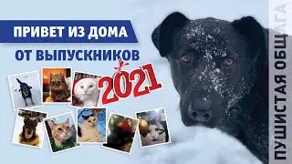 ПРИВЕТ ИЗ ДОМА ОТ ВЫПУСКНИКОВ 2021