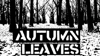 Autumn Leaves on Guitar.. But It's Crust Punk!