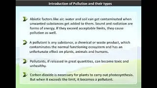 Introduction of Pollution and their types