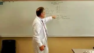 Pharmacy Calculations for Technicians - Powder Volume Problems