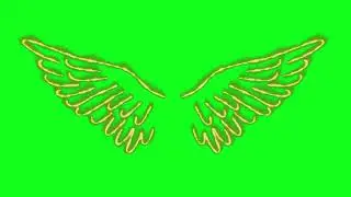WINGS FLAY GREEN SCREEN
