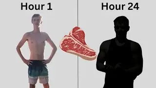 I Only Ate Meat for 24 hours