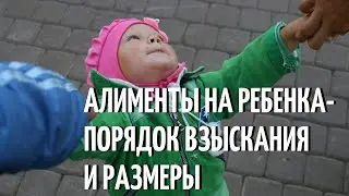 Алименты на ребёнка   порядок взыскания и размеры