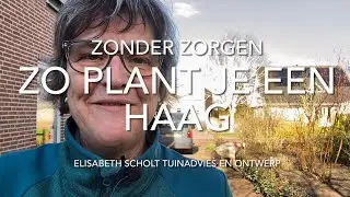 ZO PLANT JE EEN HAAG