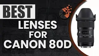 Best Lenses For Canon 80D ☑: Top Options Reviewed | Digital Camera-HQ