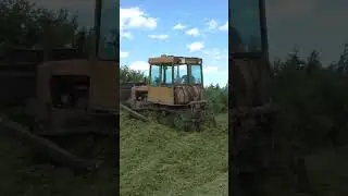 ДТ 75 на трамбовке сенажа 