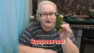 Что на глаза попалось, то и в рот провалилось.