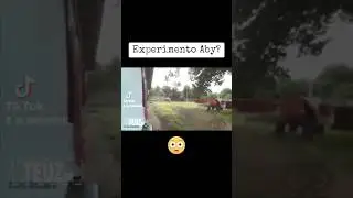 Se escapa el experimento Aby #shorts  #terror #horror #darkardark
