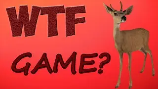 WTF GAME? (Infinideer)