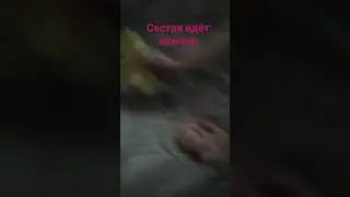 братья на битву!