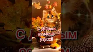 С Добрым Осенним Утром!