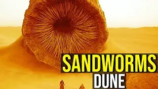 SANDWORMS (The God of DUNE) EXPLAINED