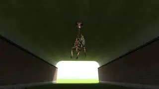 barnacle eats antlion guard