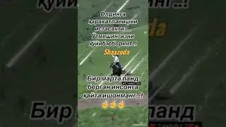 ОРТГА КАЙТИШ ЙОК ФАКАТ ОЛГА  ☝🏻✊🏻