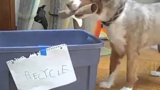 Recycling Made Easy