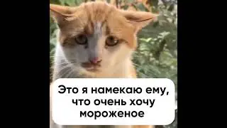 ☀️🌡 На улице такая жара, что хочется спрятаться в холодильник? #shorts