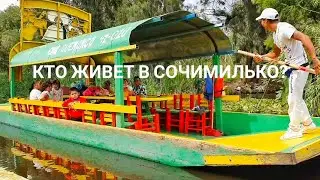 Vlog. КАК МЕКСИКАНЦЫ ПРОВОДЯТ ВРЕМЯ В СОЧИМИЛЬКО. ТРАХИНЕРАС.
