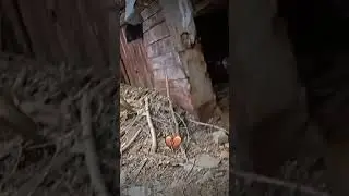 ☠️