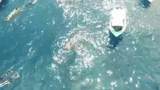 Best Drone Video Ever