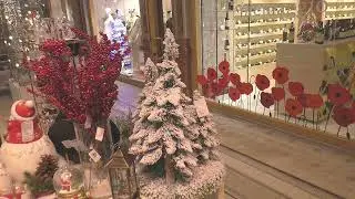 Предновогодний Санкт-Петербург. 2021