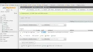 Laravel 5.1 - creating custom middleware