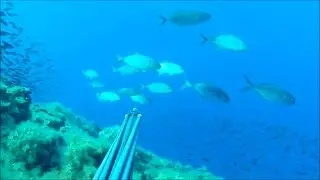 Pescasub: Le squadriglie della morte