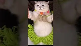 Она останется ононом 😂😂😂,умора😂😂😂 